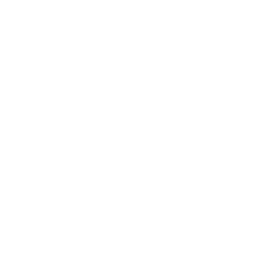 Spotify Button